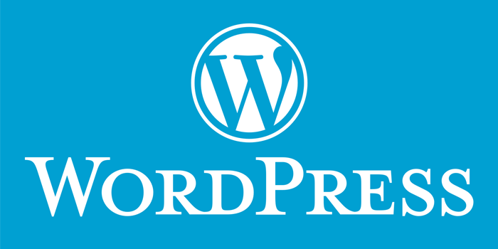 WordPress begynder